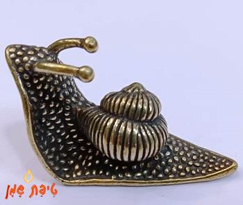 חילזון מברונזה