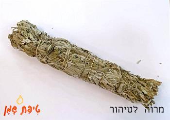 מרוה לטיהור